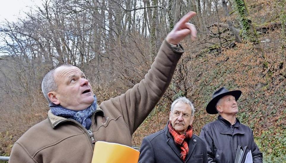 Informierten über Baumpflanzungen und -fällungen vom laufenden Jahr: André Moritz, Felix Guhl und Konrad Bruderhofer (v. l.).Bild: Selwyn Hoffmann