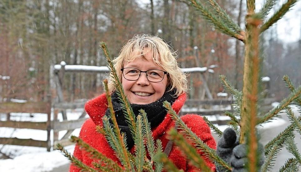 Einen grossen Baum hat Marianne Geissmann am Samstag für ihre Familie ausgewählt. «Nach dem Fest steht er bei uns noch ein paar Tage im Haus, dann stellen wir ihn ins Wäscheständerloch im Garten.»