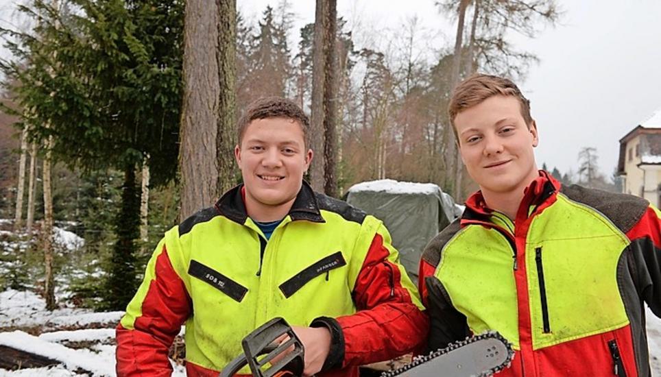 Spass machte es ihnen auf jeden Fall. Die beiden Försterlehrlinge Marco Ryser (l.) und Andrin Epprecht sägten am Engeweier die Christbäume. Hauptsache, die Tanne sehe einigermassen schön aus, fanden die beiden.