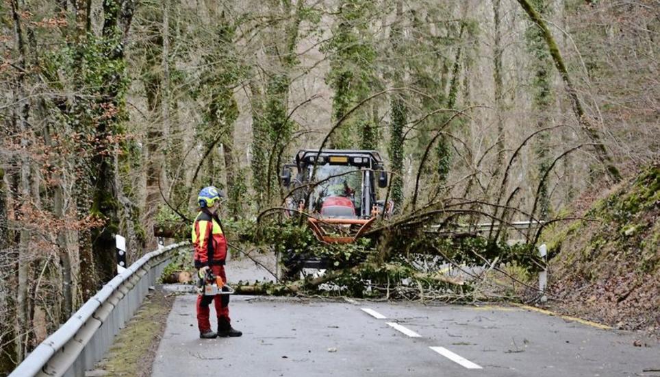 Viel Arbeit für die Einsatzkräfte von Feuerwehr, Polizei, Tiefbauamt und Forst brachte gestern der Wintersturm Burglind. Auf der Freudentalstrasse zwischen Lohn und Büttenhard beispielsweise musste der Thaynger Förster Michael Ryser einen Umgekippten Baum beiseiteräumen. Bild: Tito Valchera