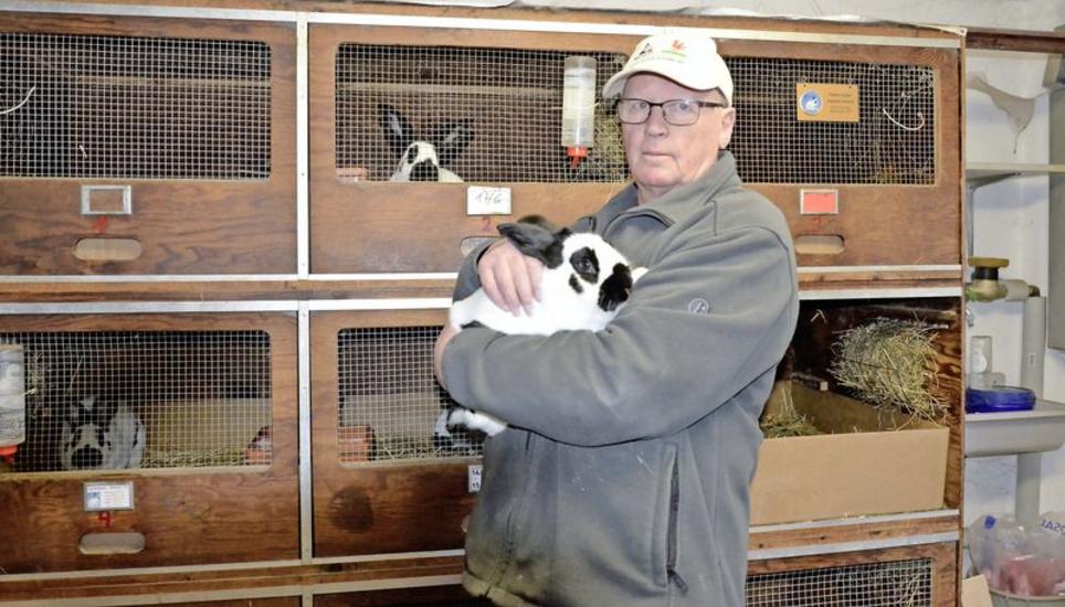 Ein Leben für die Kaninchen: Züchter René Hauser vor seinen Ställen in Beringen. Bild: Luc müller