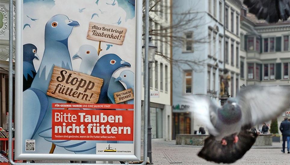 Die Plakate stehen seit gestern an belebten Punkten in der Schaffhauser Altstadt. Bild: Selwyn Hoffmann