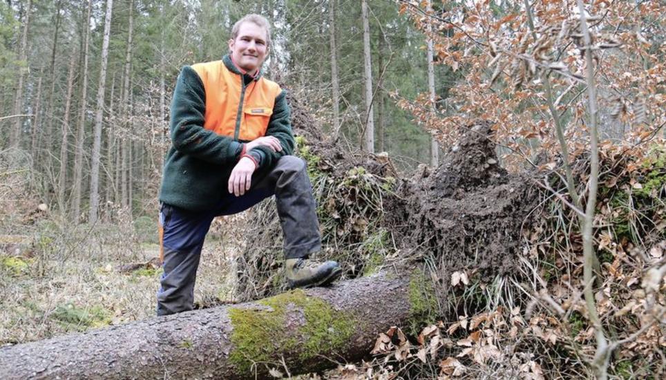 Die Fichte ist auf dem Rückzug – auch im Revier von Köbi Schwarz. Er beobachtet «seinen Wald» und bereitet ihn auf die veränderten Klimaverhältnisse vor. Bild: Brigitt Hunziker Kempf