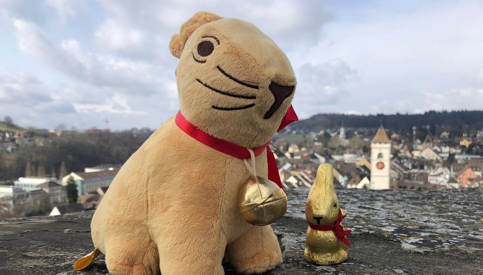 Finden Sie diese Hasen in unseren Suchbildern? Machen Sie mit und gewinnen Sie etwas! Bilder: Ralph Denzel