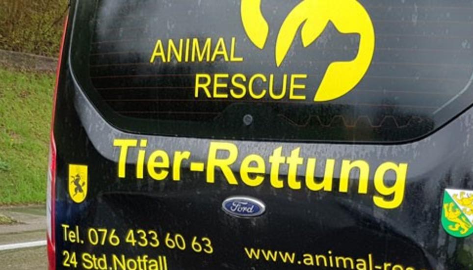 Viele Mitglieder der Tierrettung gehören zu Risikogruppen. Bild: SHPol
