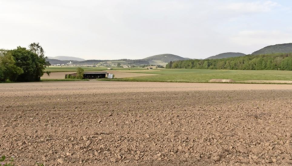 Die Gegner der Motorsportanlage fürchten, dass beim Bau viel wertvolles Ackerland in der Gemeinde Klettgau verloren geht. Im Hintergrund ist die Schweizer Nachbargemeinde Wilchingen zu sehen. Bild: Thomas Güntert