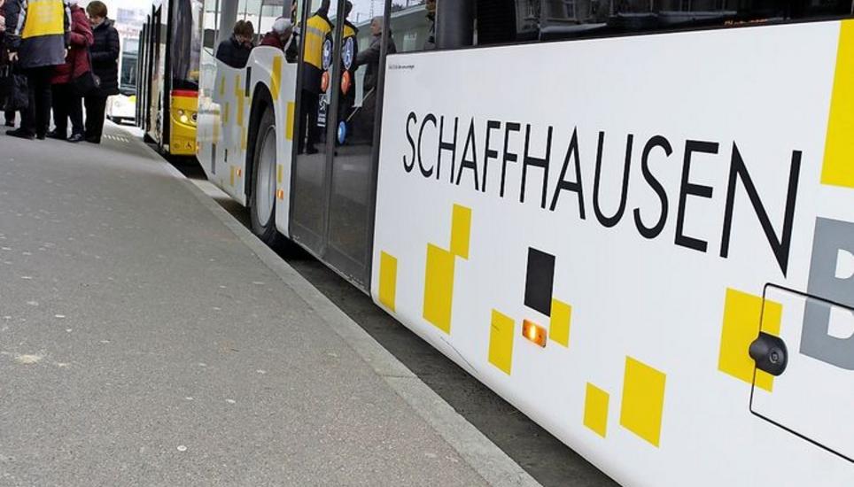 In der Kritik: der Abstimmungstext zum Buszusammenschluss. Bild: Selwyn Hoffmann