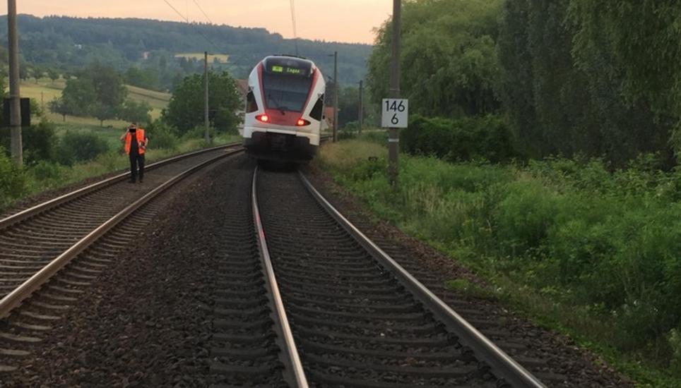 Zwischen Singen und Engen kollidierte der Zug mit einer Schafsherde. Bild: zvg Polizeipräsidium Konstanz