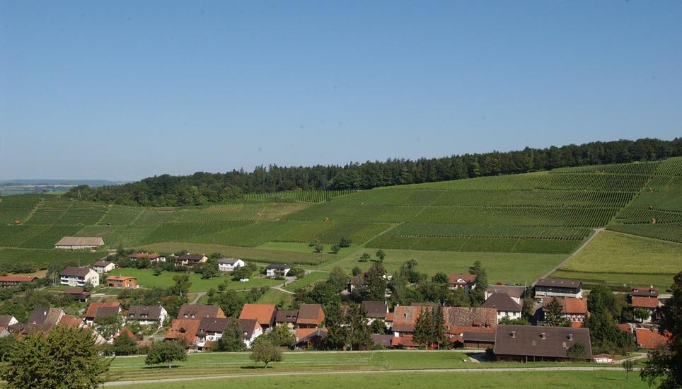 Reicht es für Osterfingen das «schönste Dorf der Schweiz» zu werden?