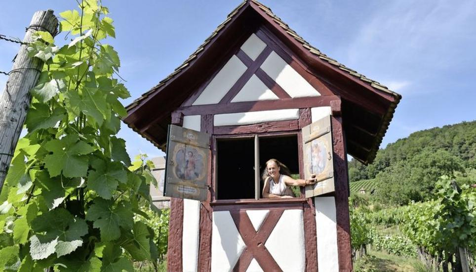Winzerin Elsbeth Leibacher im Rebhäuschen des Museums Lindwurm in Stein am Rhein. Die 70 Aren Reben hier oben gehören ebenfalls dem «Lindwurm» – Leibacher kümmert sich als Pächterin darum. Bilder: Darina Schweizer