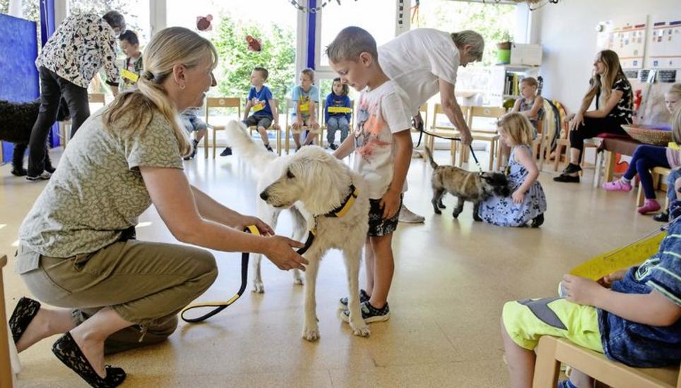 Immer an der Seite streicheln: Monika Staub mit Hündin Cindy im Kindergarten Engelmann in Thayngen. Bild: Selwyn Hoffmann