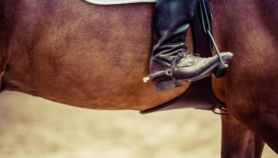 Jedes Jahr finden die regionalen Pferdesporttage auf dem Griesbach statt. Bild: Pixabay