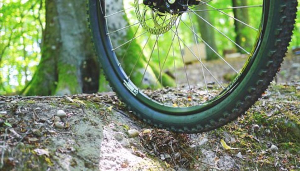 Der Mann verunfallte mit seinem Mountainbike schwer.