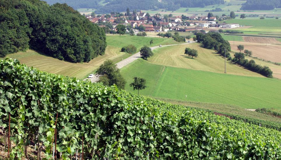 Die zweite Turnhalle in Löhningen wird nicht gebaut.