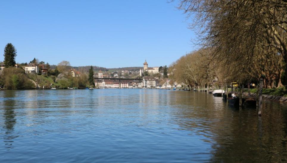 Auch der Rhein könnte für die Äschen bald zu warm sein. Bild: RM