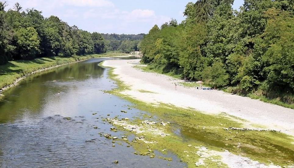 Mit 4 m³ pro Sekunde fliesst die Thur bei Alten. Rechts die Algenschicht. Bild: RoMü