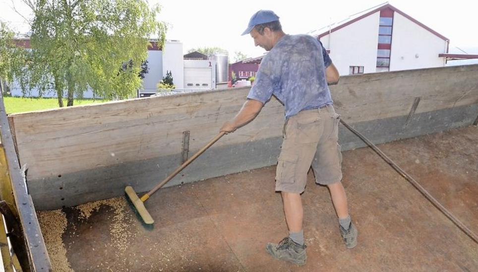 Landwirt Jürg Buchmann aus Trasadingen hat sein Getreide abgeladen.