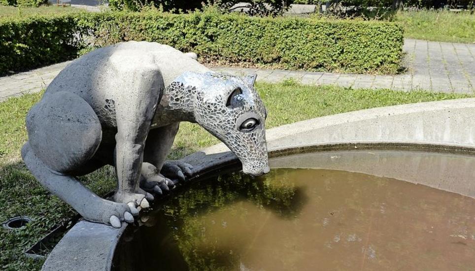 Zu Besuch, wo es summt und brummt Schaffhauser Nachrichten