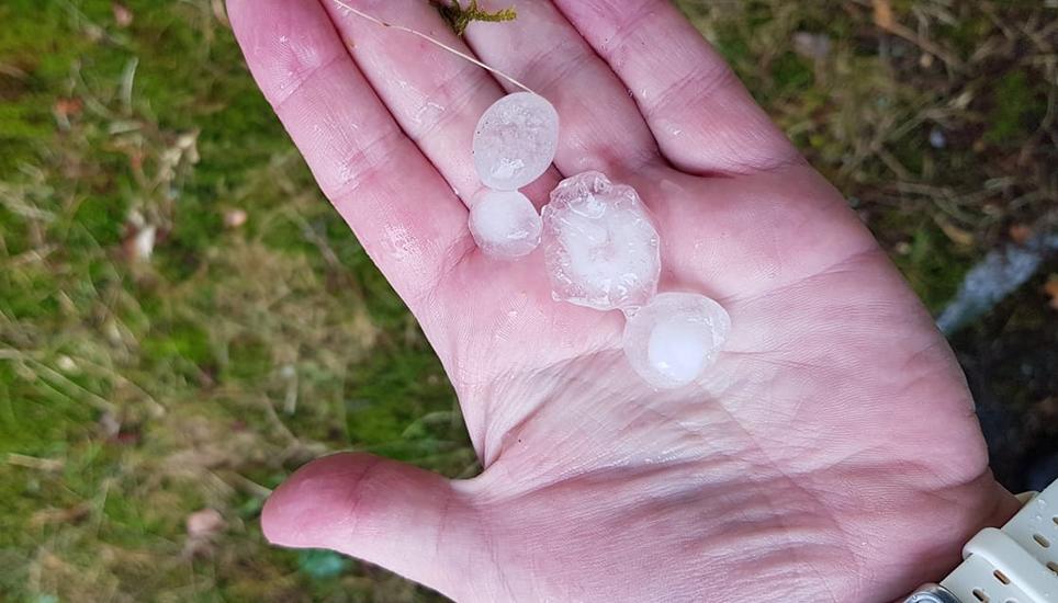 ...und auf der Hand.