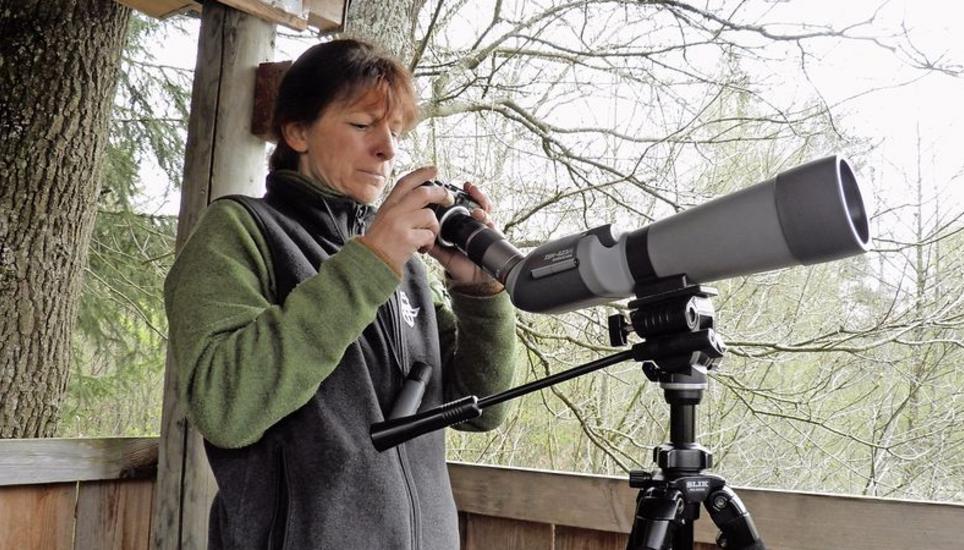 Vereinspräsidentin Cilia Besançon beim Beobachten im Schaarenwald. Bild: Therese Schurter