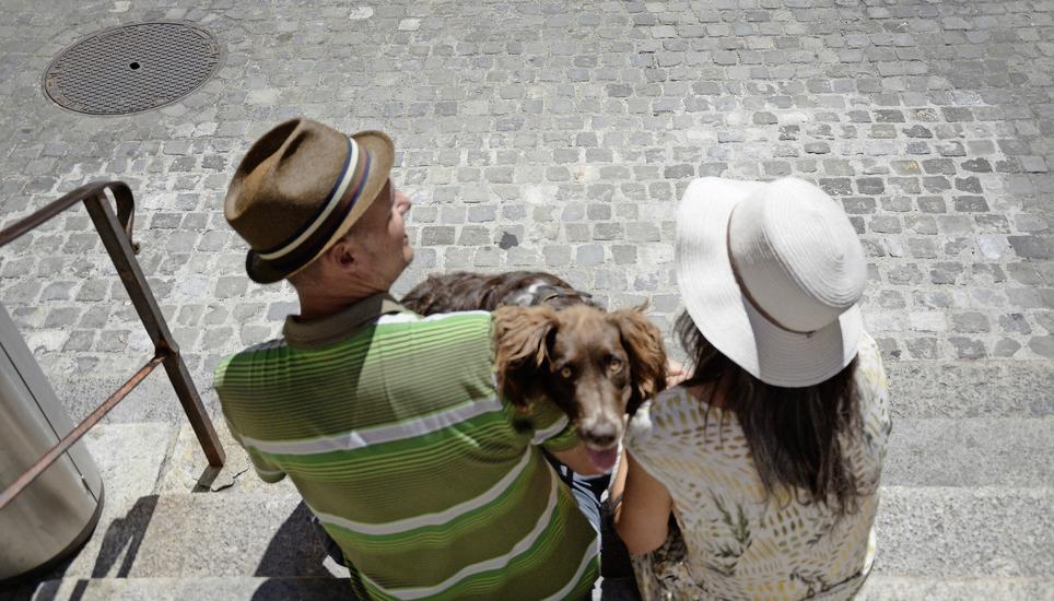 Zu Besuch in Schaffhausen ist die Familie Grätzer mit Hündin Salsa. Nach der Besichtigung des Munots geht es für die drei weiter in die Schaffhauser Altstadt. Bilder: Kim Lenherr