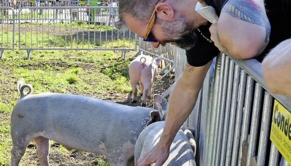 ... sowie Attraktionen wie den Kleintierzoo.