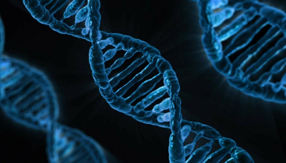 Die Verwendung von DNA-Technologie in der Diagnostik boomt zurzeit - auch bei der Krebsforschung. Bild: Pixabay