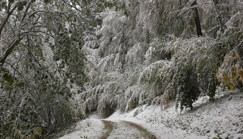 Idyllische Winterstimmung. Bild: Zeno Geisseler