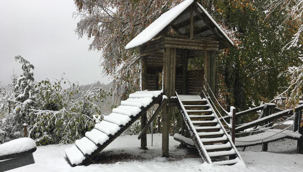 Auch rund um das Siblinger Randenhaus liegt alles unter einer weissen Decke. Bild: Zeno Geisseler