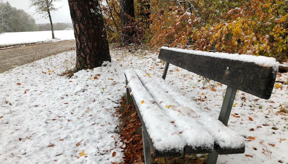 Überall hat der Winter oberhalb von Hemmental seine Spuren hinterlassen. Bild: Nina Schärrer