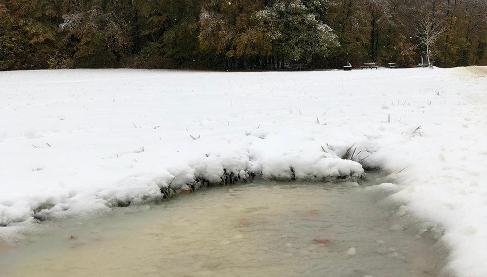 Überall hat der Winter oberhalb von Hemmental seine Spuren hinterlassen. Bild: Nina Schärrer