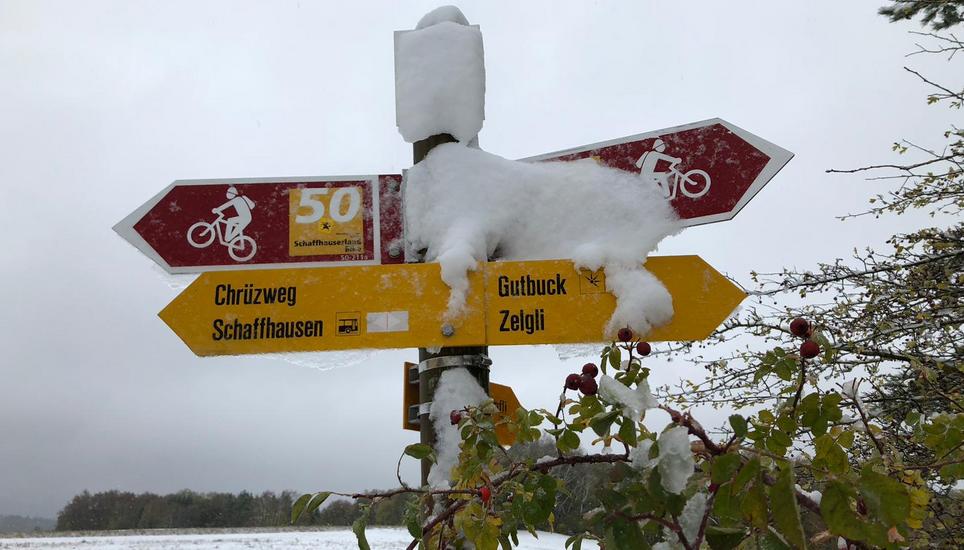 Überall hat der Winter oberhalb von Hemmental seine Spuren hinterlassen. Bild: Nina Schärrer
