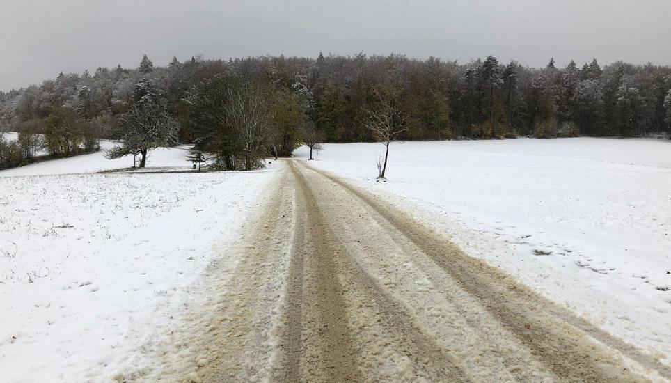 Überall hat der Winter oberhalb von Hemmental seine Spuren hinterlassen.