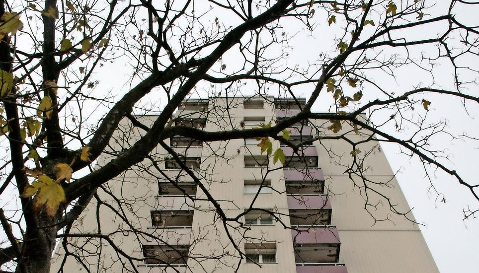 Der Nutzungsplan war dafür vorgesehen, wo hohe Bauten künftig in welchem Umfang möglich sein werden. Bild: Julia Leppin