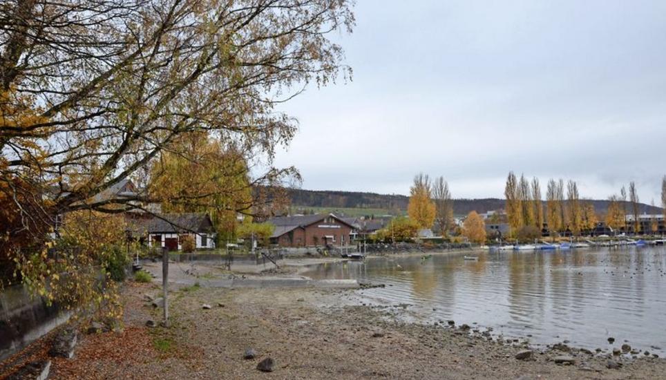 In Steckborn sieht man ganz deutlich, wie tief der Stand des Untersees zurzeit ist. Normalerweise ist der Uferstreifen im Winter nur halb so breit. Bild: Katja Brütsch