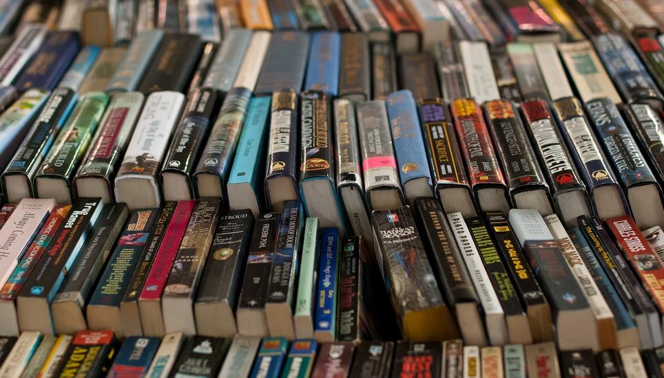 Bücher zum Umblättern und zum Scrollen werden in Schaffhausen gerne ausgeliehen.