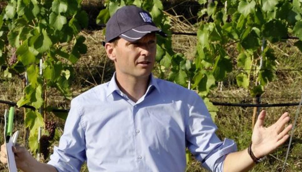 Markus Leumann (hier an der Rebbegehung Mitte August in Thayngen) wird Co-Leiter der neuen Fachstelle für Rebbauberatung der Kantone Schaffhausen, Thurgau und Zürich. Bild: Ulrich Schweizer