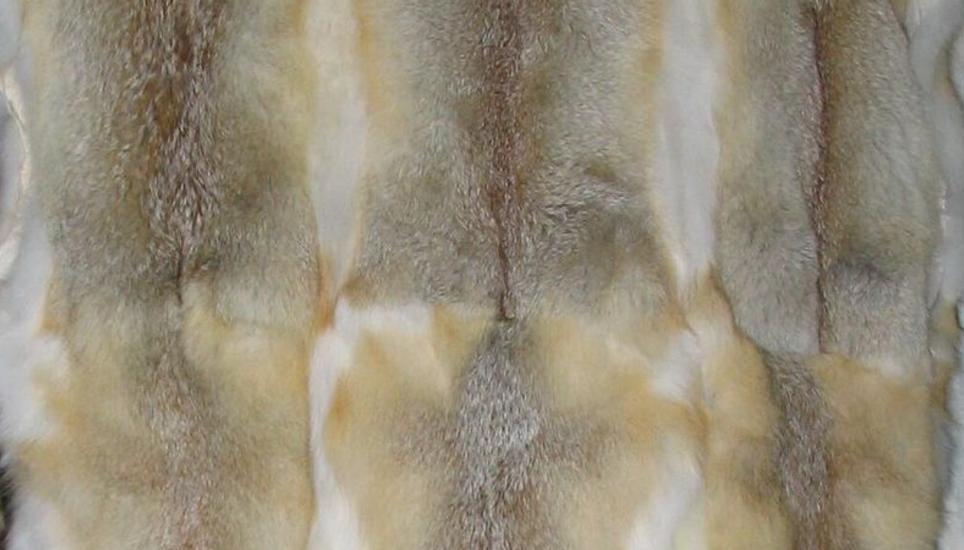 In Zukunft findet man in den Modekollektionen der Marke Chanel keine derartigen Pelze mehr. Bild: Wikimedia