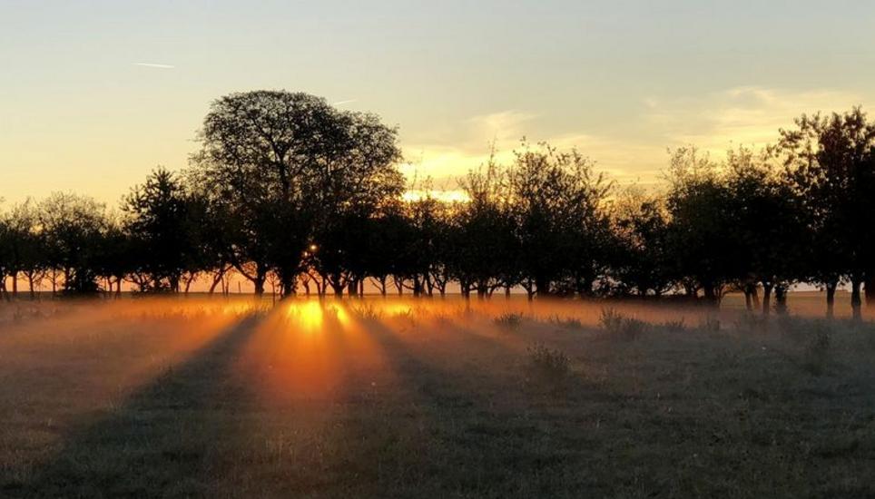 Die Nebelfelder in Lohn versuchen sich an diesem sonnigen Morgen gegen die Kraft der Sonne zu behaupten. Das Lichtspiel hat Sandra Meier aus Lohn eingefangen.