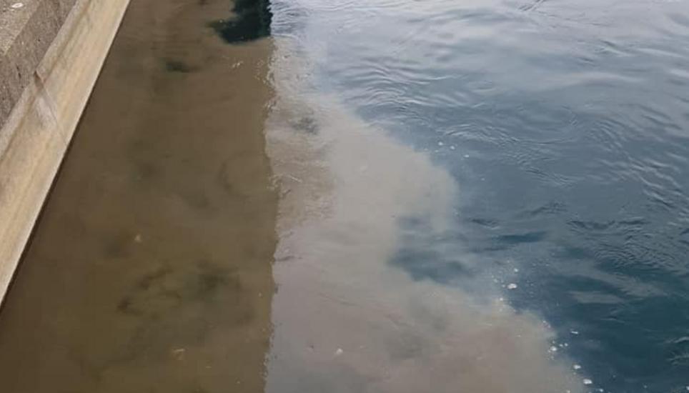 Braunes Wasser verschmutzte am Dienstag den Rhein. Screenshot: FB