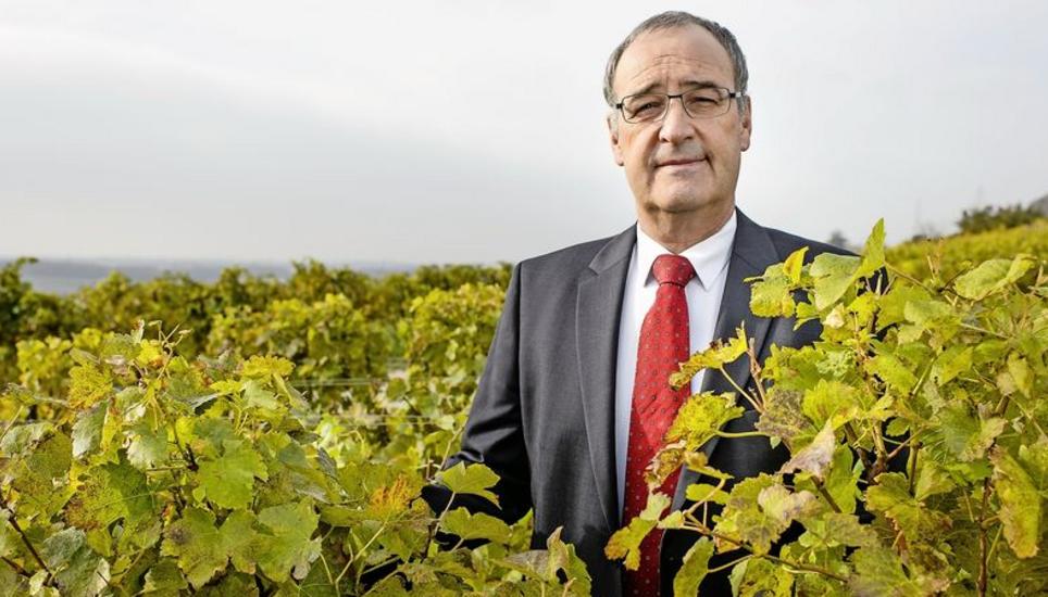 Guy Parmelin posiert in den Weinbergen seiner Familie in Bursins VD. Bild: Key
