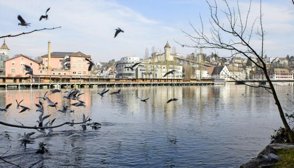 Wie viel Grün ist im Blau des Schaffhauser Freisinns enthalten? Blick vom Zürcher Rheinufer auf die Schaffhauser Altstadt. Bild: Selwyn Hoffmann