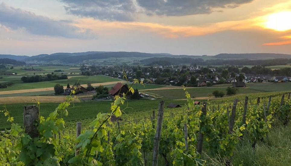 Kommt das Weinländer Herbstfest wieder zurück nach Dachsen?