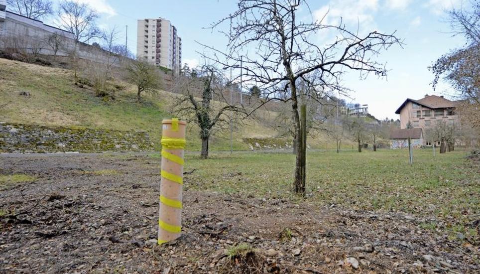 Die Bauarbeiten auf der Pontonierwiese sind momentan auf Eis gelegt.