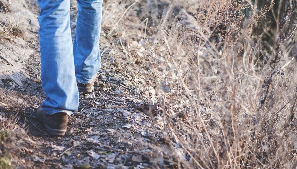Die acht Wanderwege nehmen zwischen eineinhalb und zweieinhalb Stunden Wanderzeit ein. Symbolbild: Pixabay