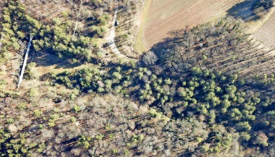 Der Wald hat inzwischen – Februar 2019 – die Anlage bis fast zur Unkenntlichkeit überwuchert. Bild: Michael Kessler
