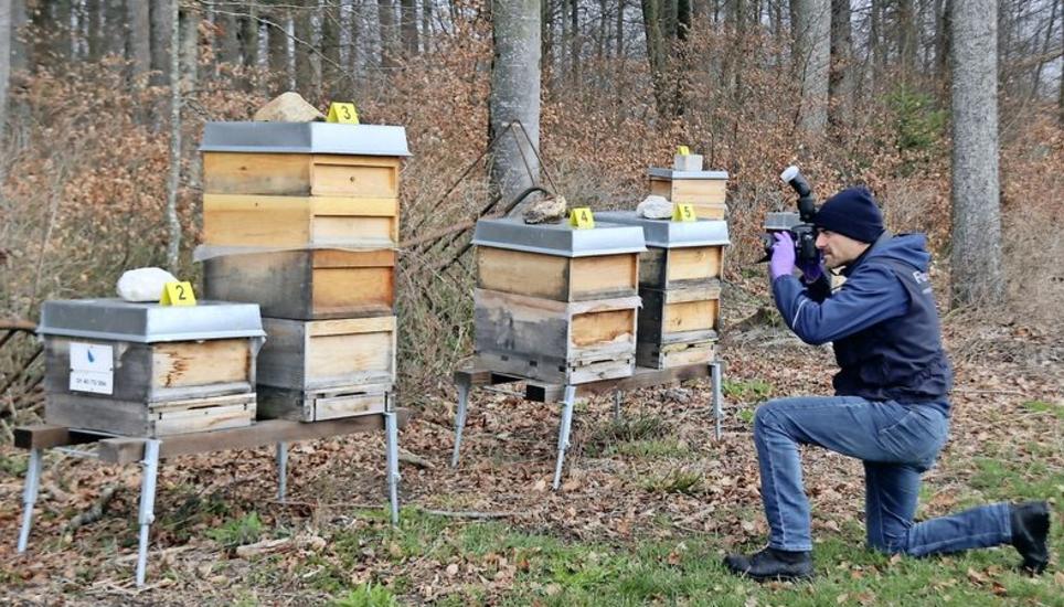 Forensiker der Zürcher Kantonspolizei haben vor Ort die Ermittlungen aufgenommen und suchen nach Spuren. Bild: Roland Müller