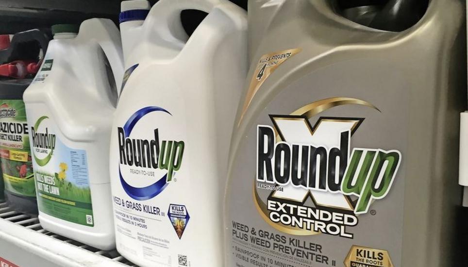 Das umstrittene Unkrautvernichtungsmittel Roundup bringt Bayer-Tochter Monsanto als Herstellerin in Bedrängnis. Bild: Key