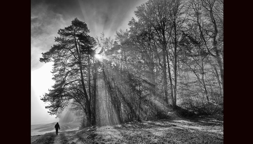 Beim Siegerbild brechen Sonnenstrahlen durch die Bäume, während die Frau von Marijan Kucan durch das Eschheimertal spaziert. Bild: Marijan Kucan