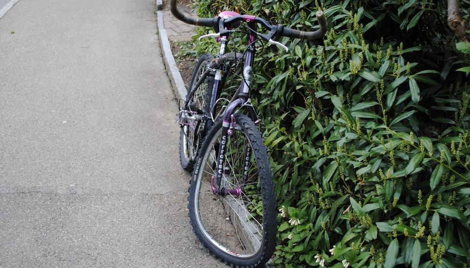 Das Velo wurde bei der Kollision in Mitleidenschaft gezogen. Bild: shpol